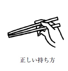 正しい箸の持ち方